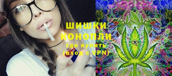 ГАЛЛЮЦИНОГЕННЫЕ ГРИБЫ Балахна