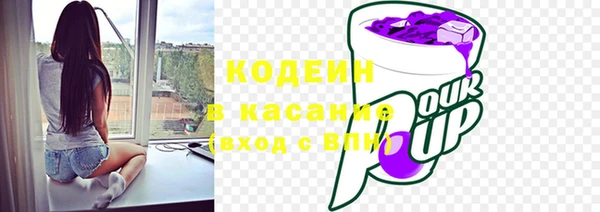 ПСИЛОЦИБИНОВЫЕ ГРИБЫ Елабуга