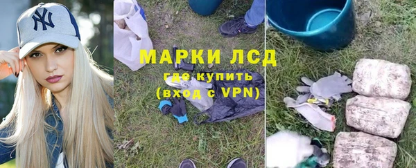 ГАЛЛЮЦИНОГЕННЫЕ ГРИБЫ Балахна