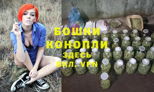 ГАЛЛЮЦИНОГЕННЫЕ ГРИБЫ Балахна