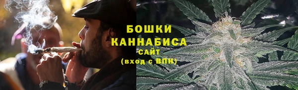 ГАЛЛЮЦИНОГЕННЫЕ ГРИБЫ Балахна