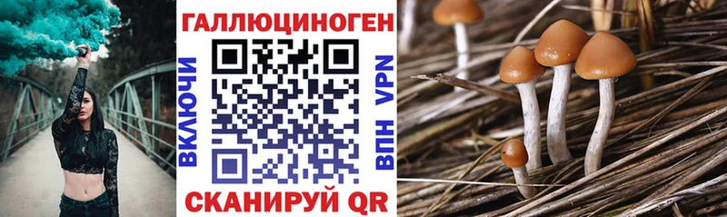 Галлюциногенные грибы MAGIC MUSHROOMS Кондрово