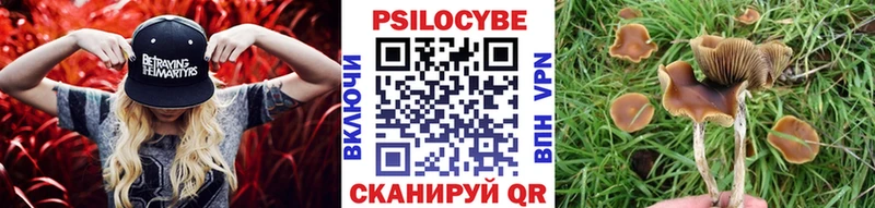 Псилоцибиновые грибы MAGIC MUSHROOMS  Кондрово 